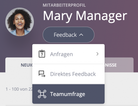 Teamfeeedback Profil
