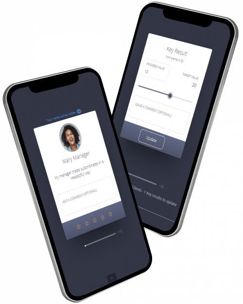 Loopline Systems Loopnow OKR Performance Management Loopline Systems Loopnow OKR Performance Management